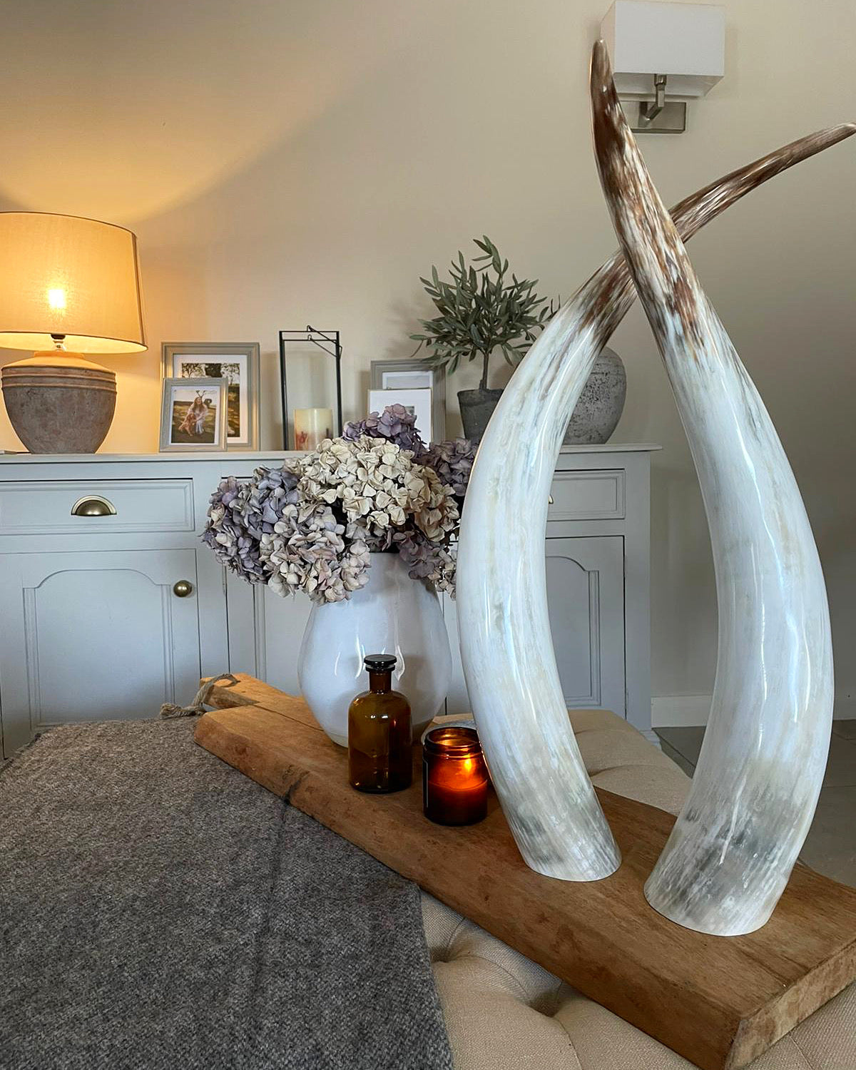 Medium Horns