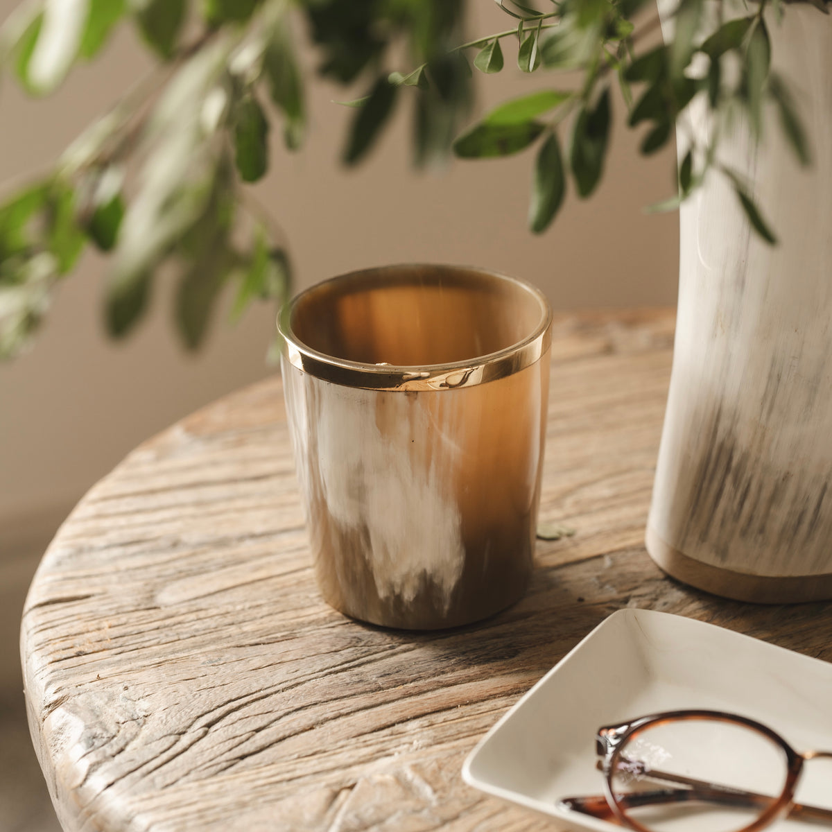 Horn and Brass Planter/Holder
