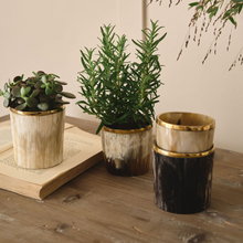 Load image into Gallery viewer, Horn and Brass Planter/Holder