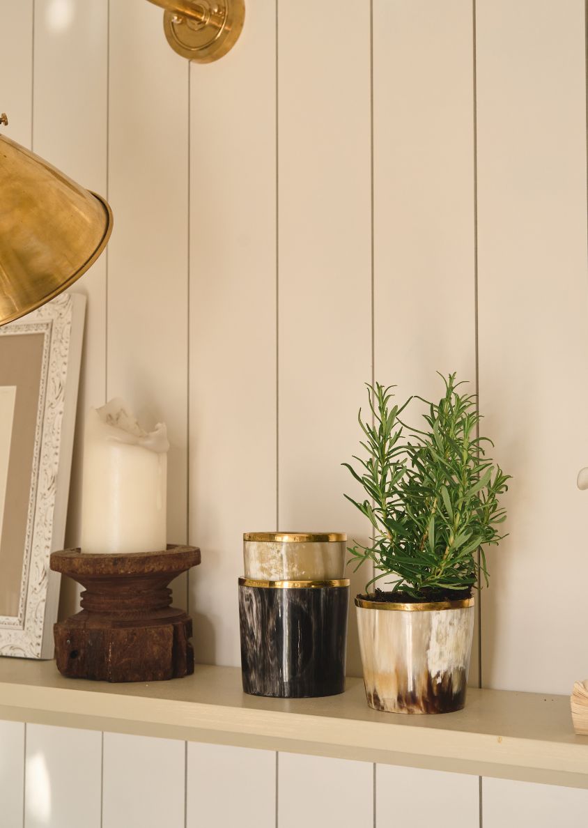 A Sustainably Styled Home: Spring Edition