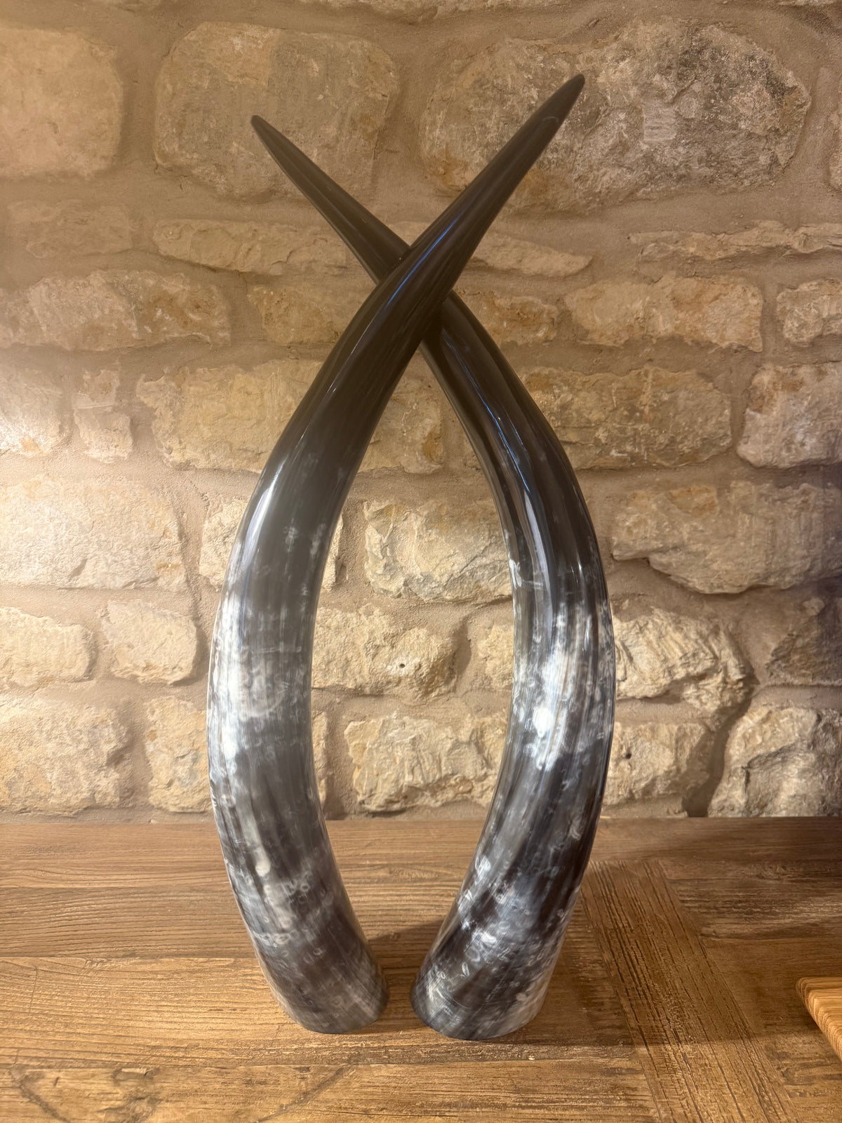 Ankole Cattle Horns - Small 875