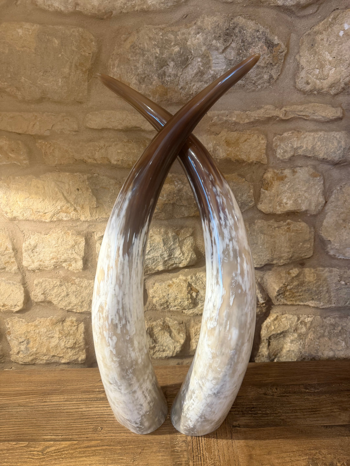 Ankole Cattle Horns - Small 831