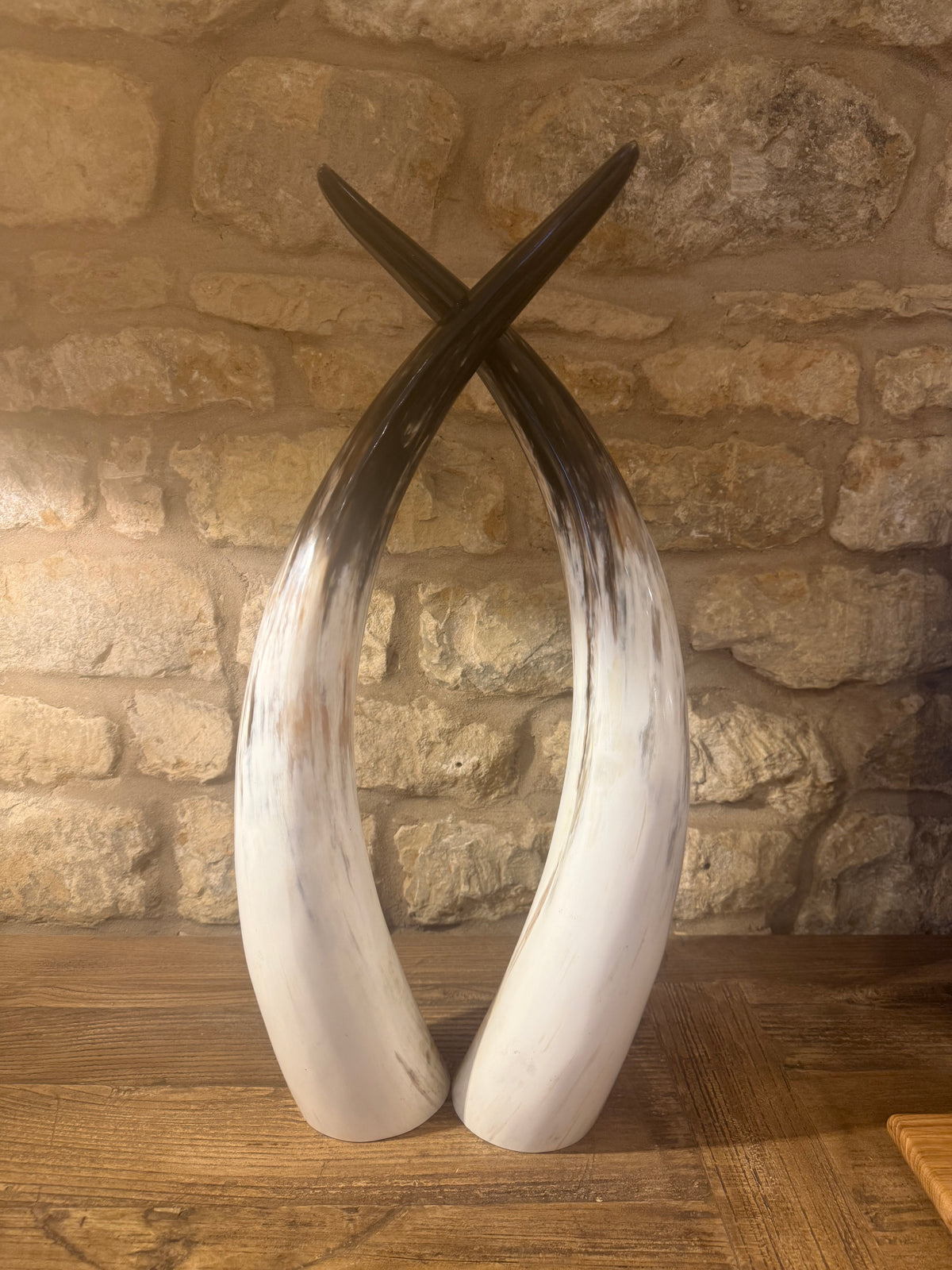Ankole Cattle Horns - Small 881