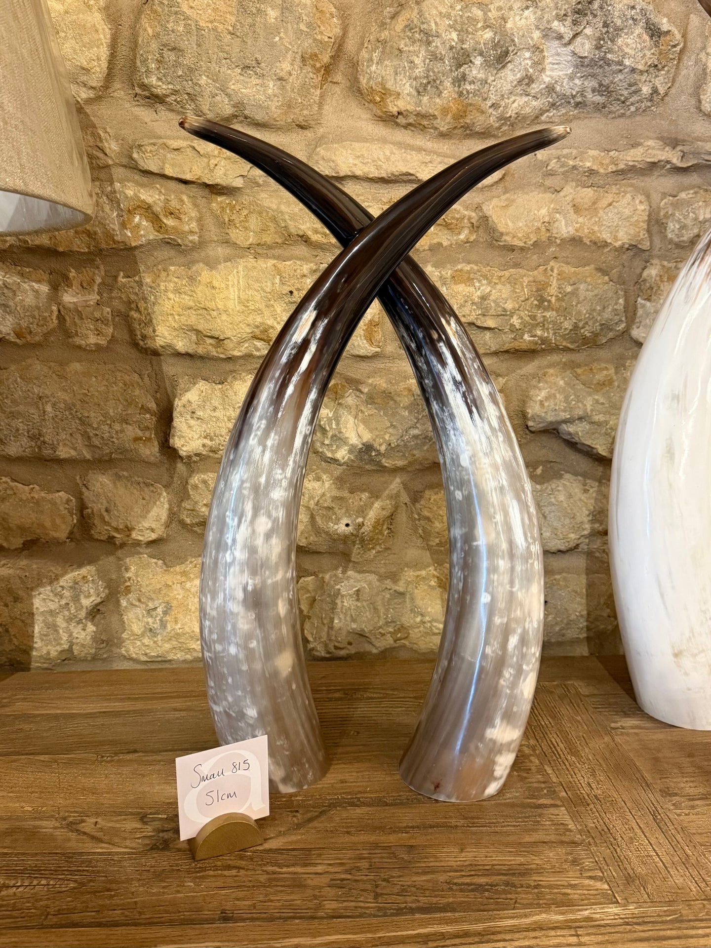 Ankole Cattle Horns - Small 815