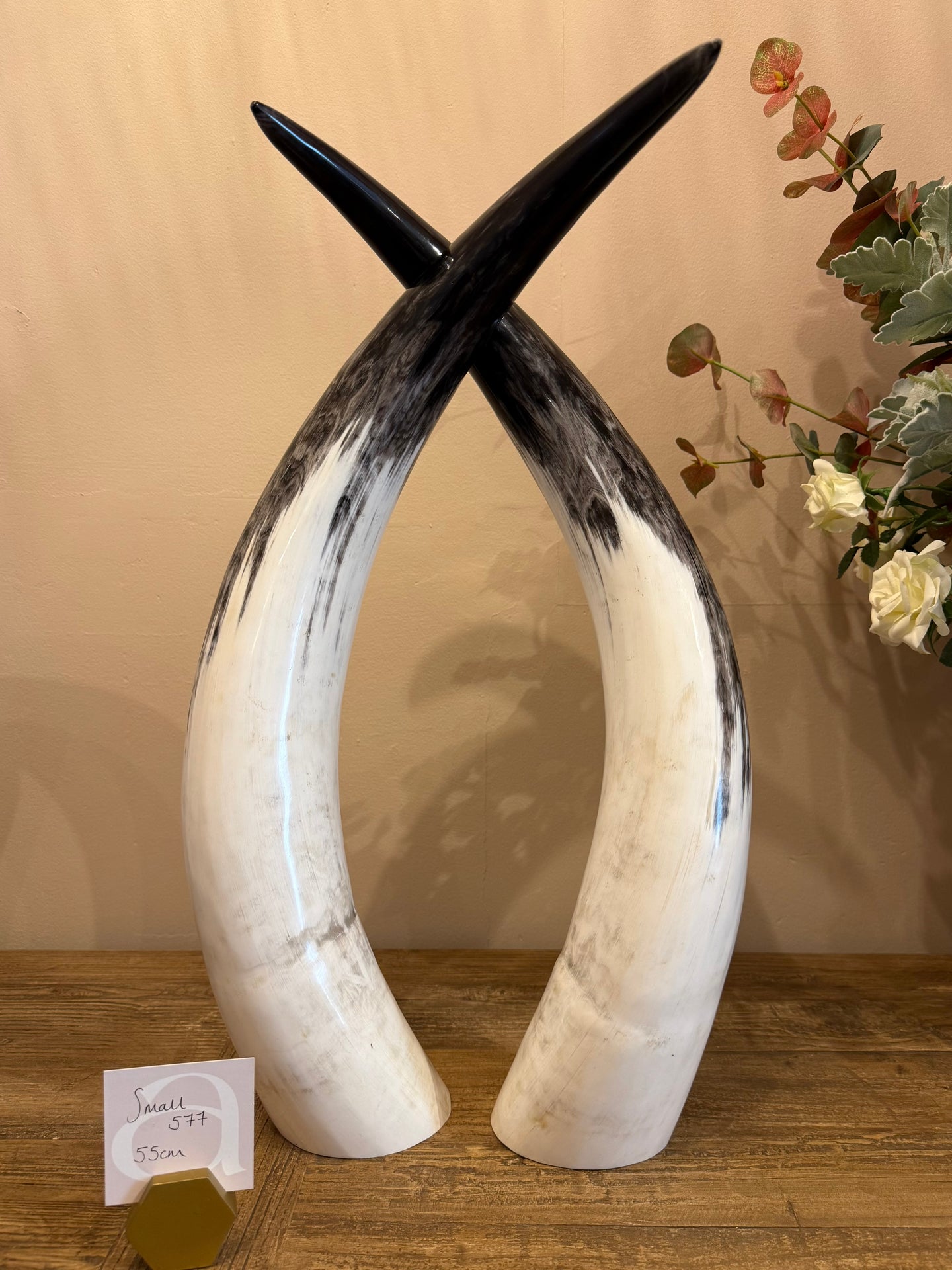 Ankole Cattle Horns - Small 577