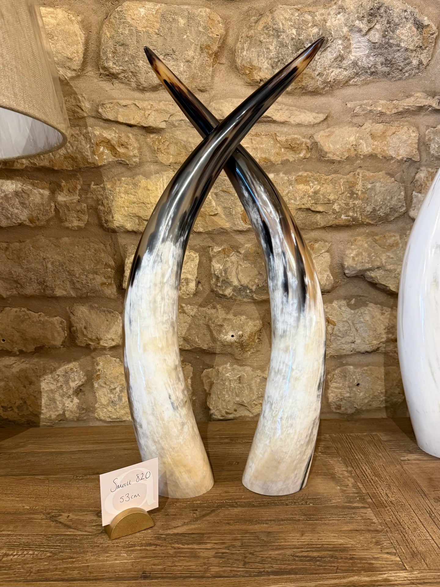 Ankole Cattle Horns - Small 820