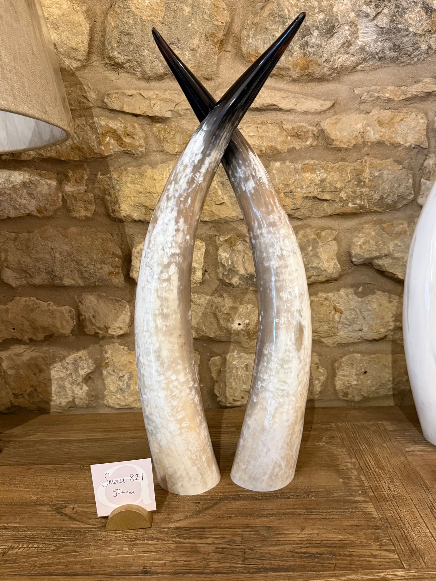 Ankole Cattle Horns - Small 821