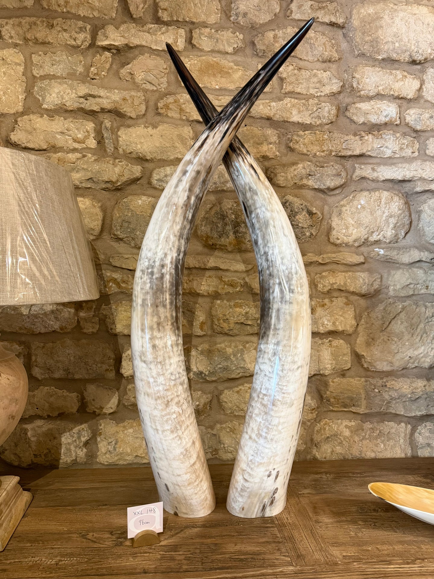 Ankole Cattle Horns - XX Large 148