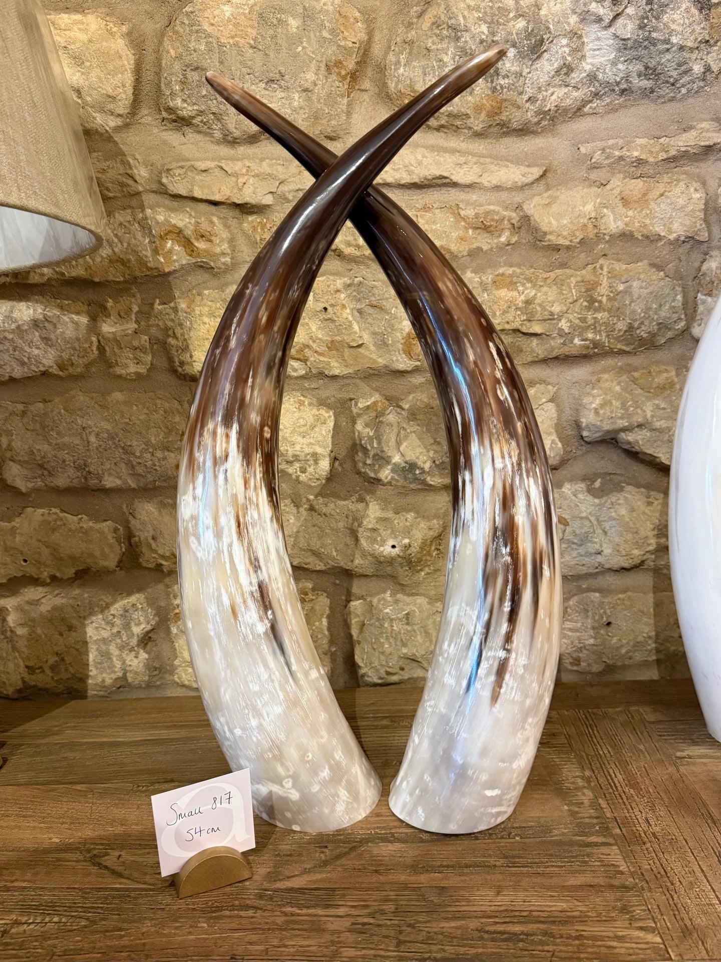 Ankole Cattle Horns - Small 817