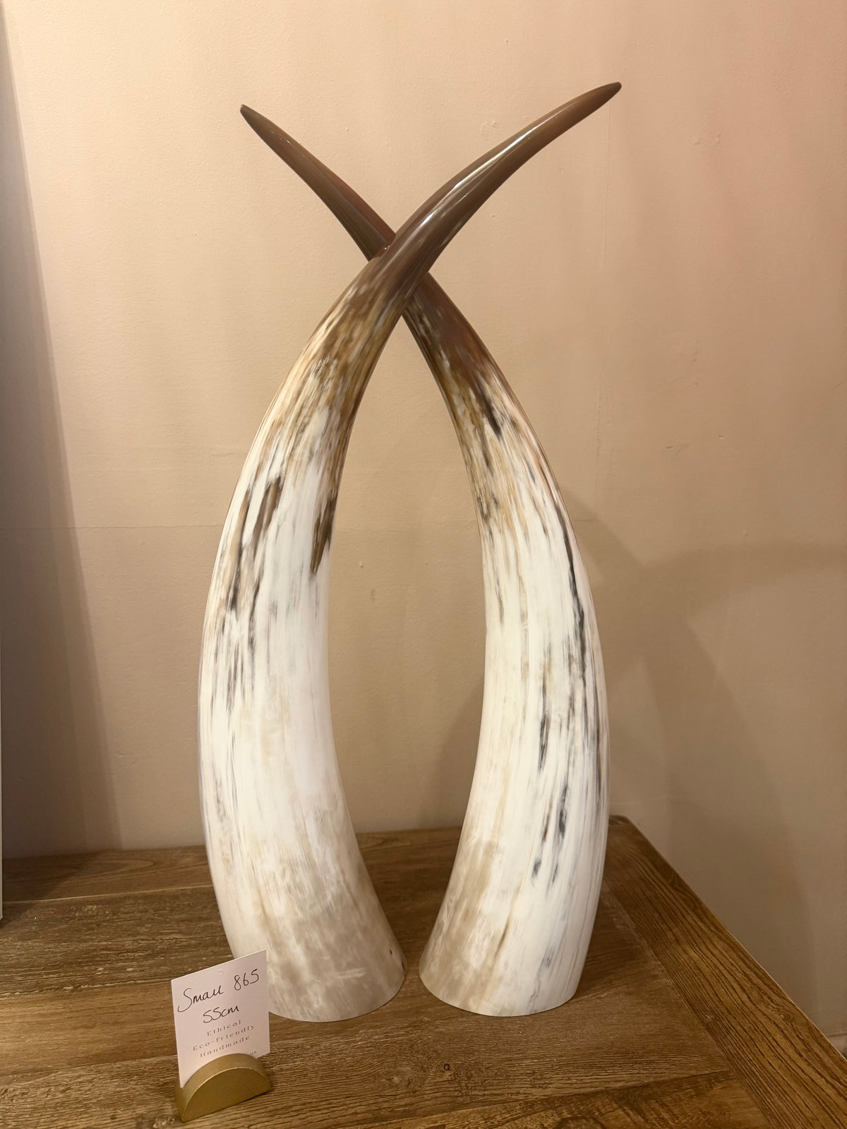 Ankole Cattle Horns - Small 865