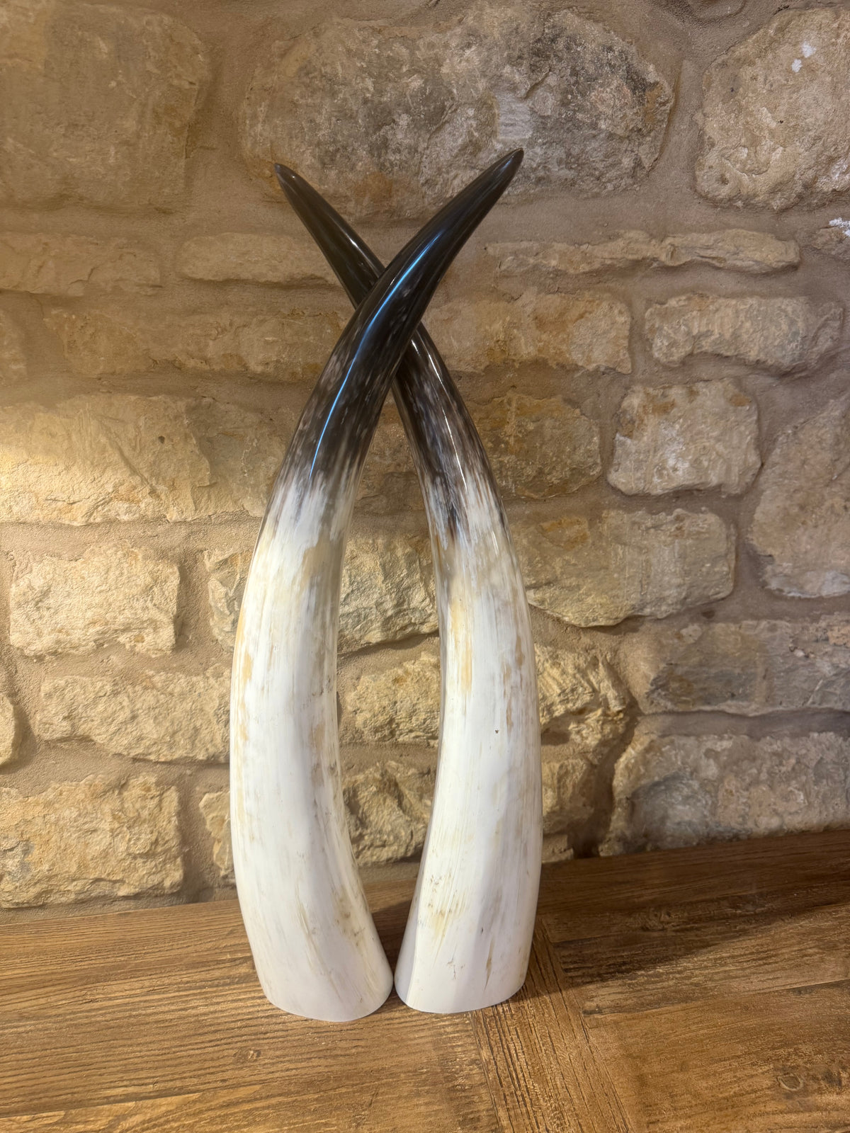 Ankole Cattle Horns - Small 829