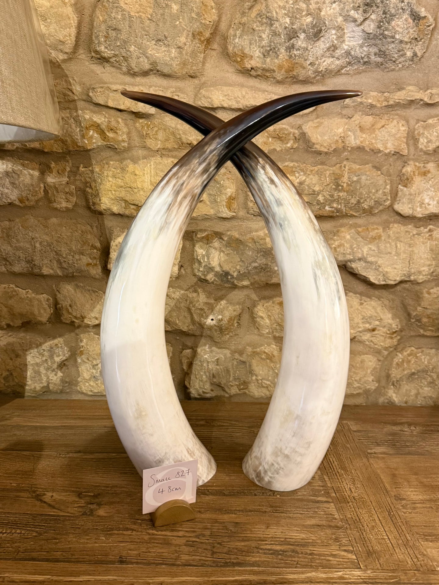 Ankole Cattle Horns - Small 827