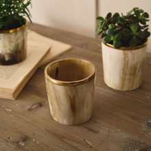 Load image into Gallery viewer, Horn and Brass Planter/Holder
