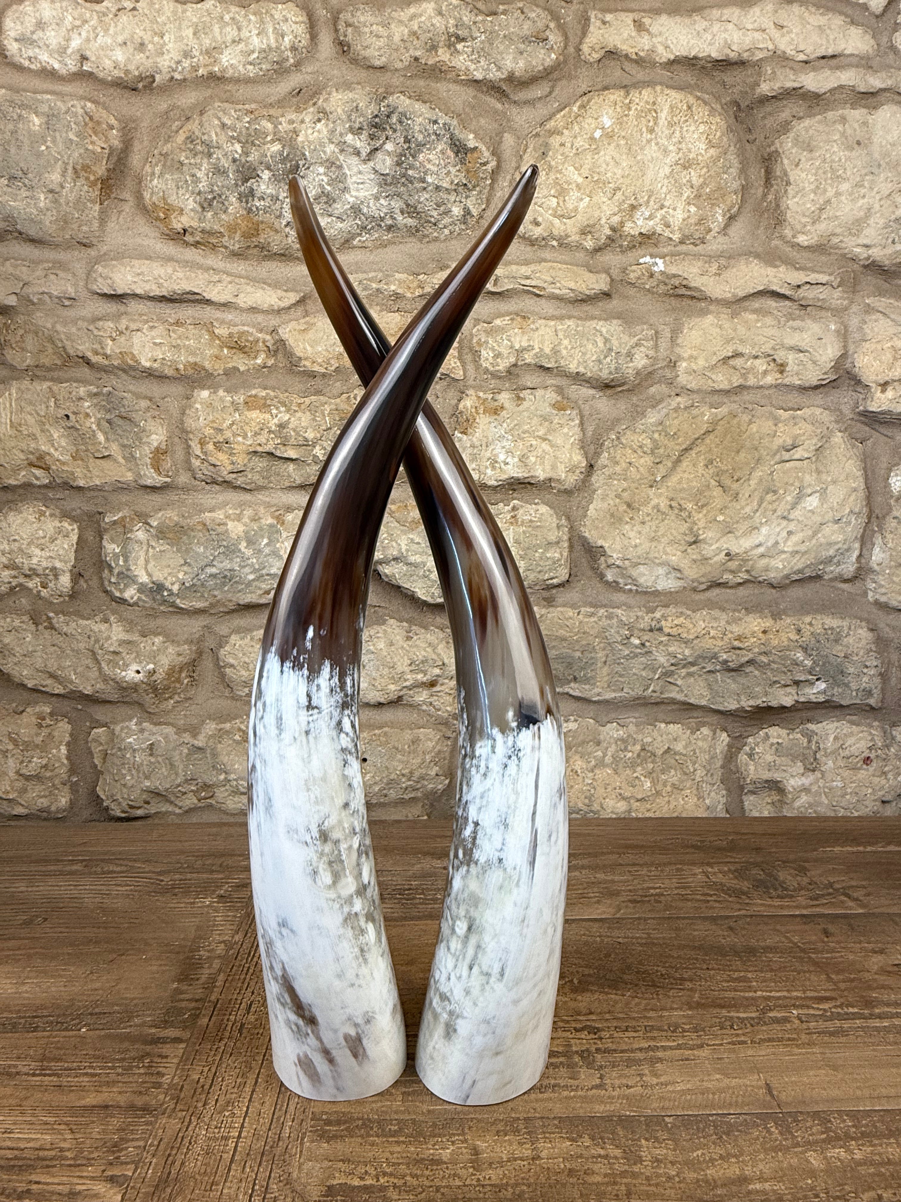 Small Horns | 1