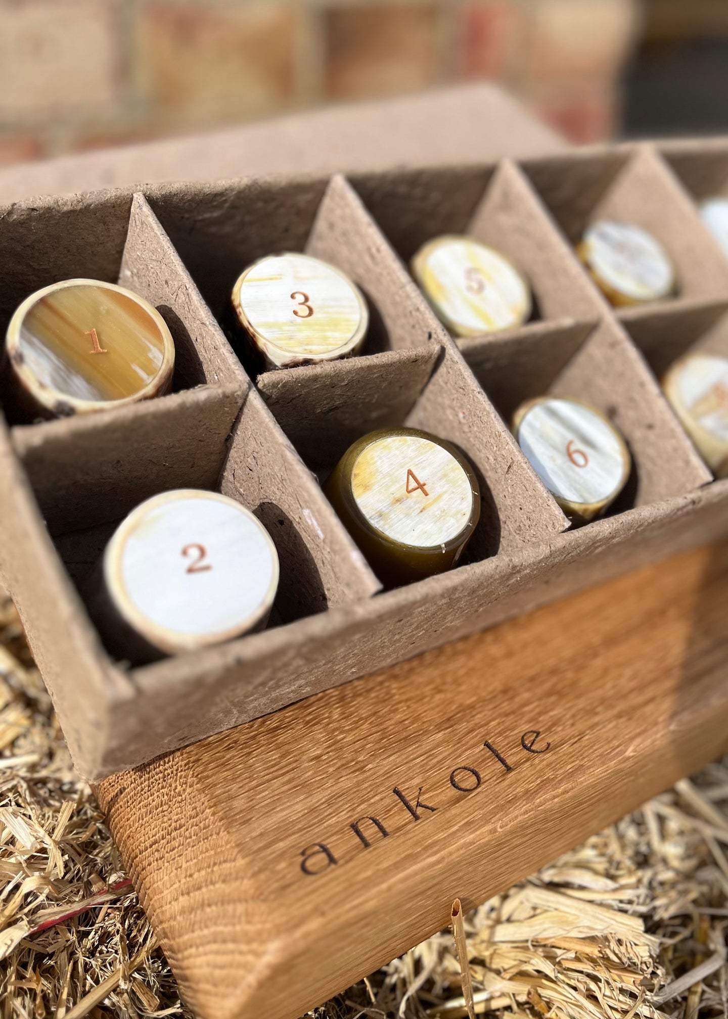 Numbered Peg Finder Shot Glasses With Oak Display Board | Box of 10