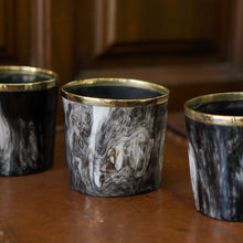Load image into Gallery viewer, Horn and Brass Planter/Holder
